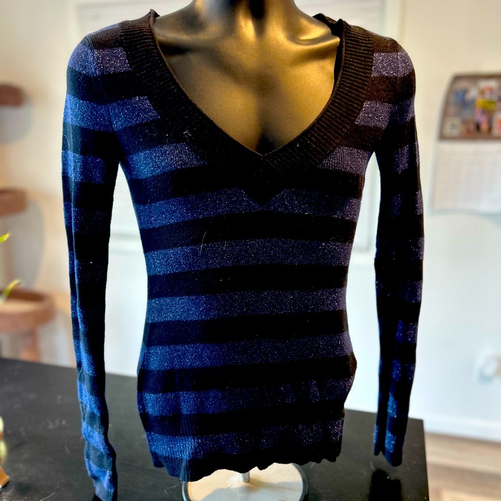 Blue and black V-neck express sweater, with silver sparkle detail, size small